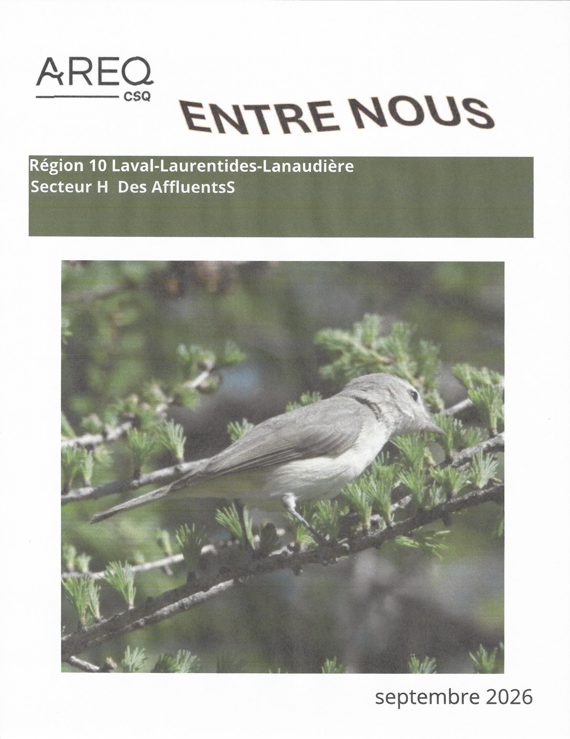 Entre nous